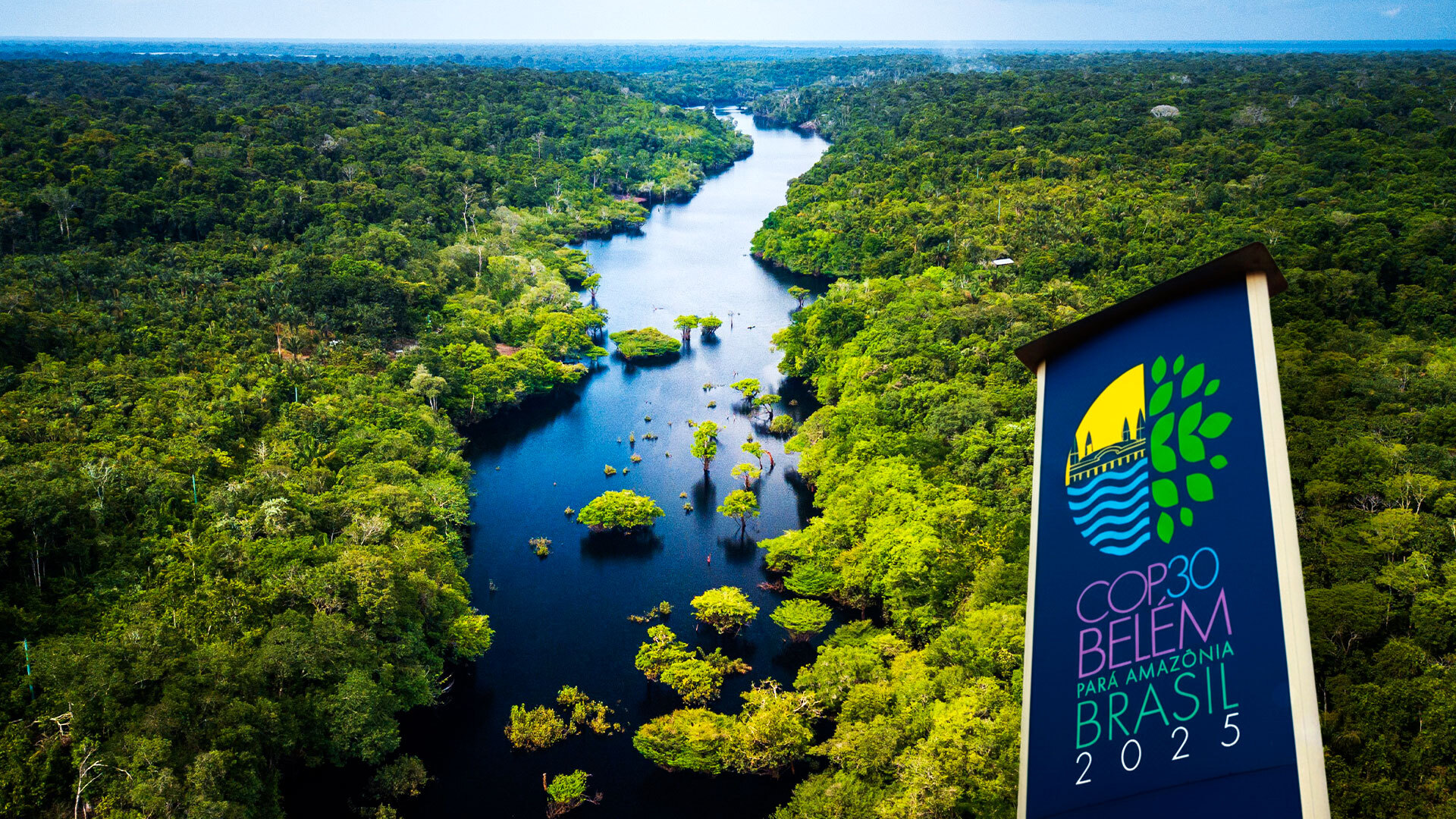 Amazônia, COP 30 e por que este é o momento de transformar propósito em legado